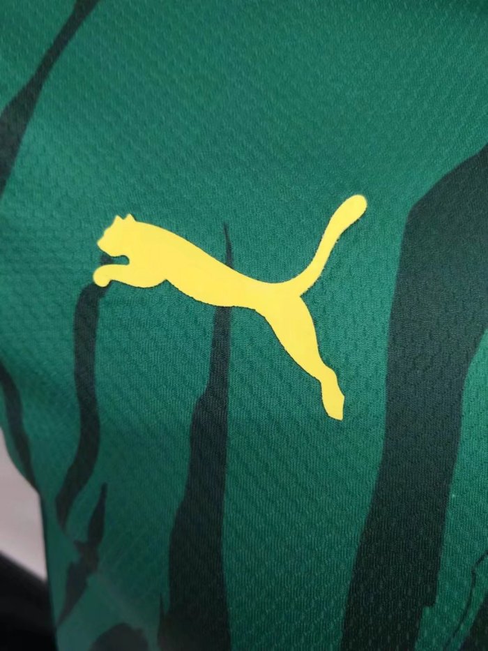 Player Version 2022 Senegal Green Commemorative Edition Soccer Jersey