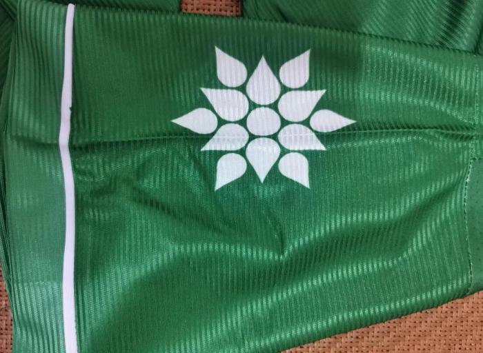 Palmeiras 100 anniversary Green Soccer Jersey