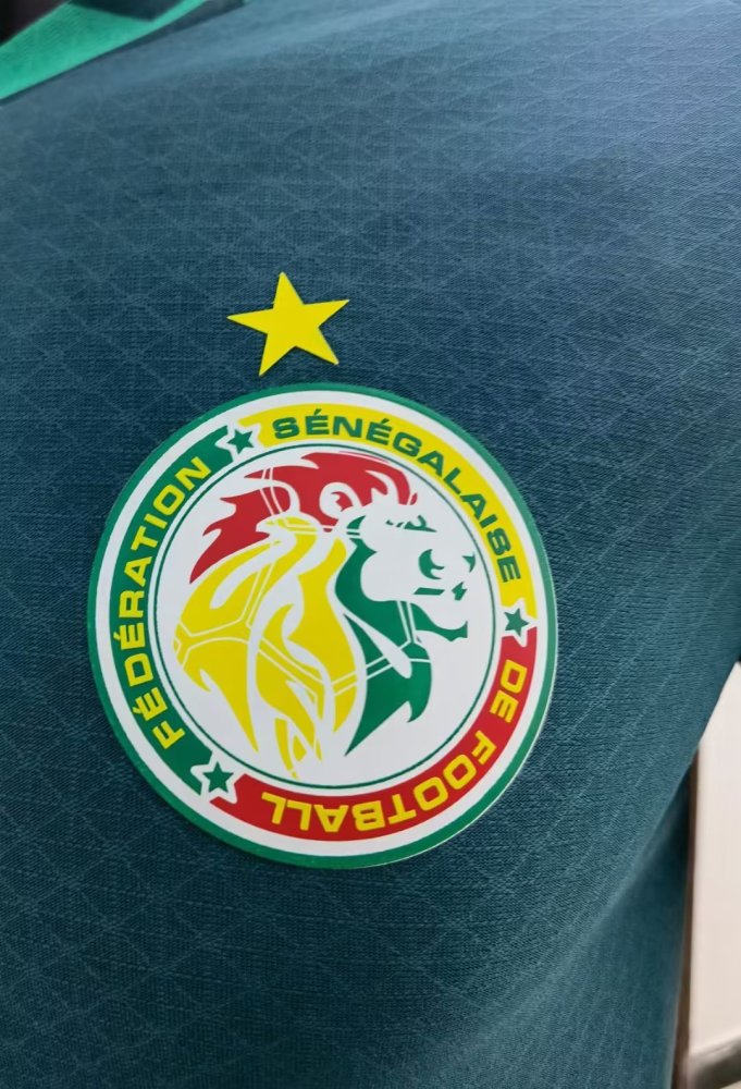 Player Version 2022 Senegal Green Soccer Training Jersey