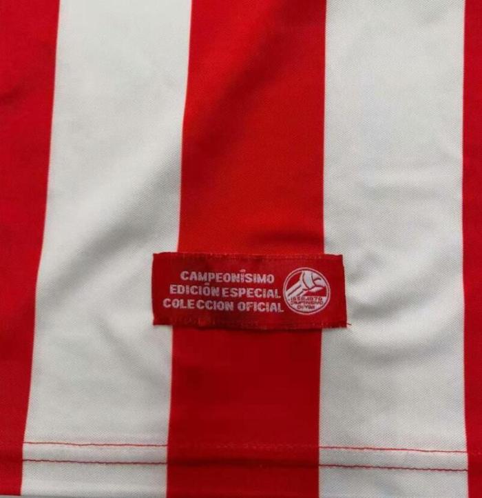 Retro Jersey 2008 Chivas Home Commemorative Edition Soccer Jersey