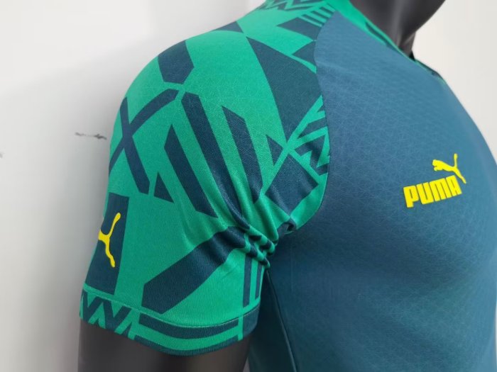 Player Version 2022 Senegal Green Soccer Training Jersey