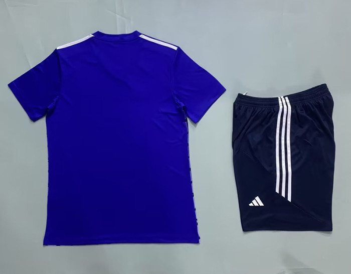 AFX-#731 Purple DIY Custom Blank Uniforms Soccer Jersey Shorts