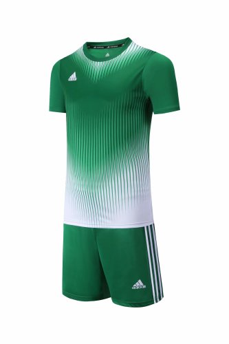 #816 Green/White Soccer Training Uniform Jersey and Shorts