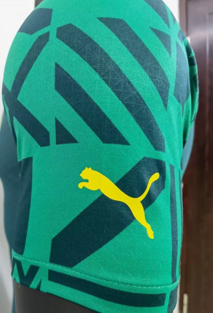 Player Version 2022 Senegal Green Soccer Training Jersey