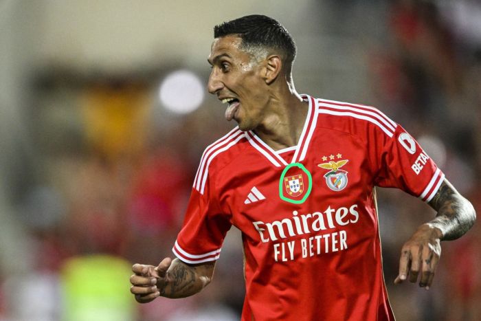 with Quinas Patch Fans Version 2023-2024 SL Benfica Home Soccer Jersey