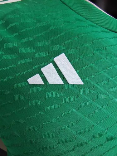 Player Version 2023 Algeria Green Soccer Jersey