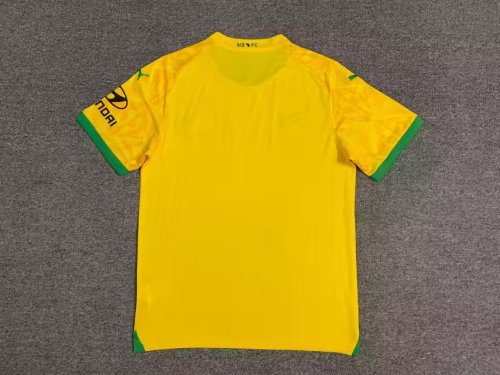 Fans Version 2023-2024 Mamelodi Sundowns Homee Soccer Jersey