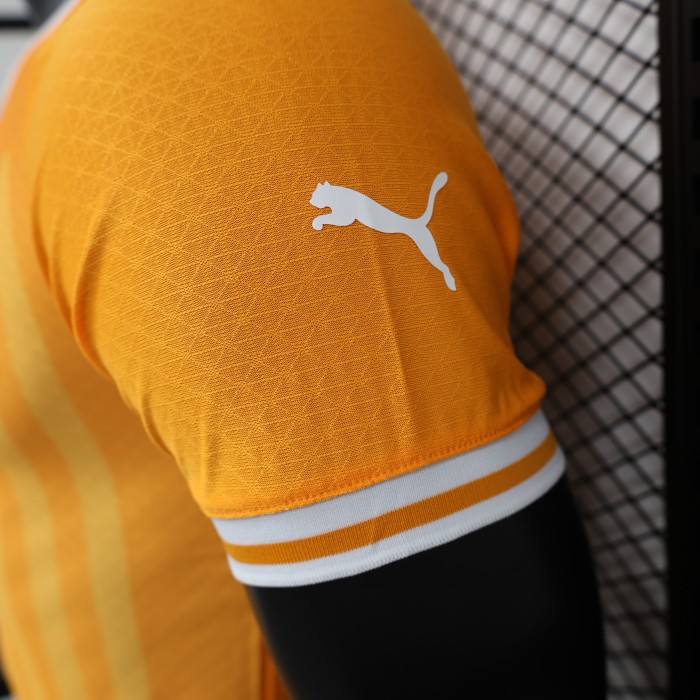 Player Version Ivory Coast Football Shirt 2022 Côte d'Ivoire Home Soccer Jersey