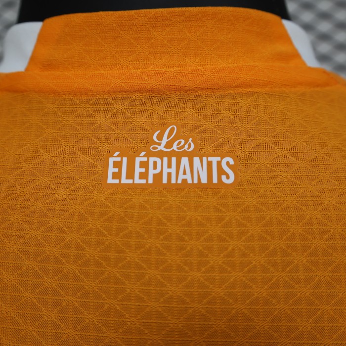 Player Version Ivory Coast Football Shirt 2022 Côte d'Ivoire Home Soccer Jersey