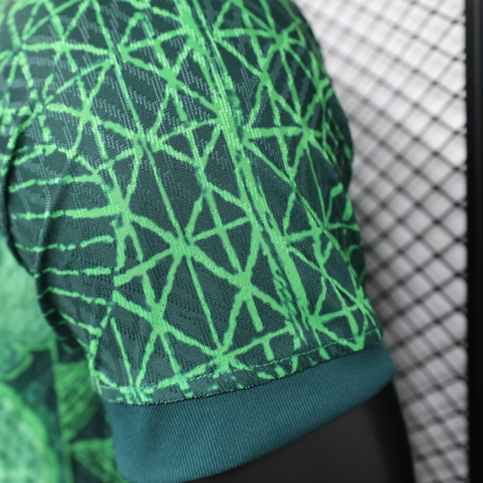 Player Version 2022 Nigeria Home Soccer Jersey