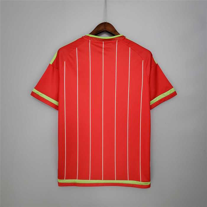 Retro Jersey 2015-2016 Wales Home Red Soccer Jersey Vintage Football Shirt