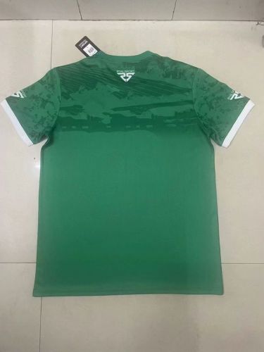 Fan Version Ivory Coast Football Shirt 2023 Côte d'Ivoire Third Away Green Soccer Jersey
