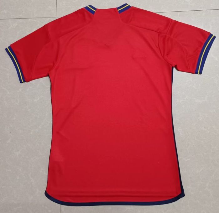 Fan Version 2024 Spain City Edition Red Soccer Jersey Camiseta de España Football Shirt