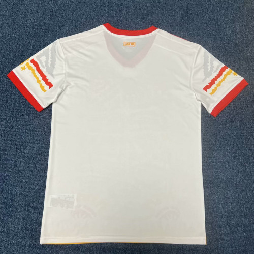 Fan Version 2023-2024 Sport Club Internacional Daraiz Aluta Version Soccer Jersey