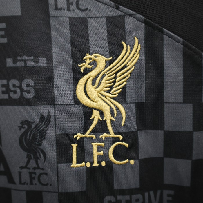 Fan Version 2023-2024 Liverpool Black Football Shirt Soccer Jersey