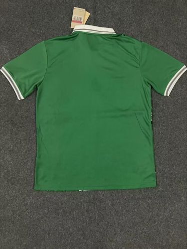 Fan Version 2024 Nigeria Home Soccer Jersey