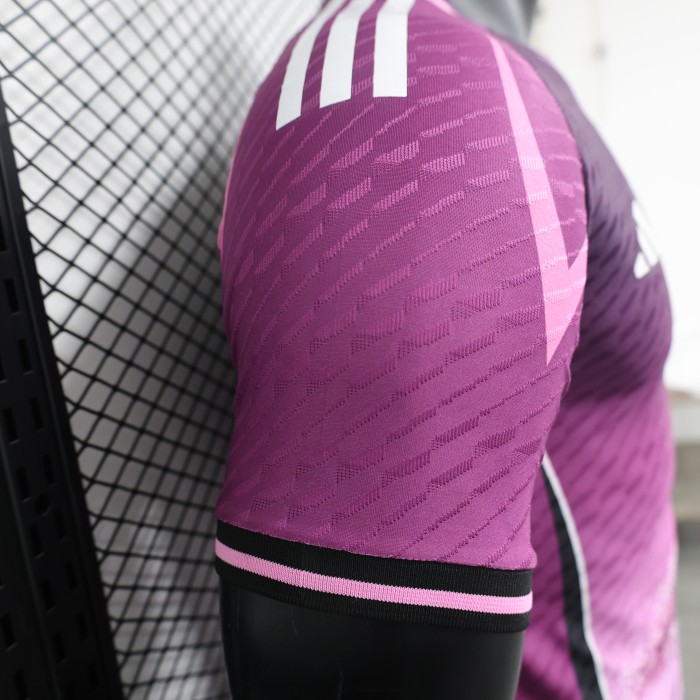Player Version 2024 Japan Purple Soccer Jersey