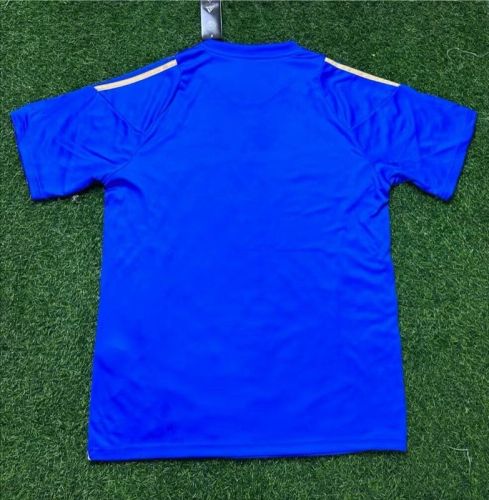 Fan Version Argentina 2024 Spark Gen10s Blue Soccer Jersey Football Shirt