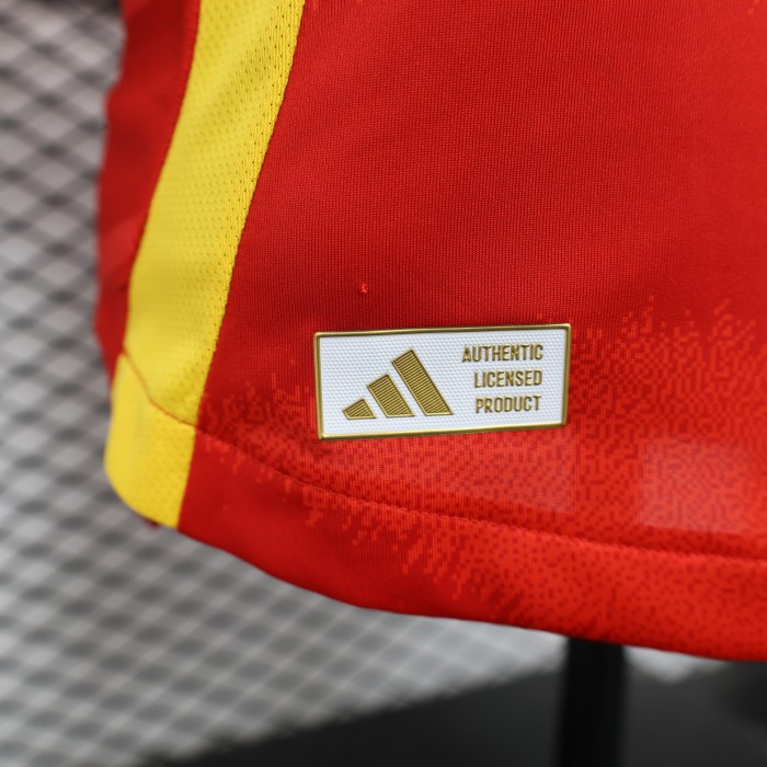 Player Version Spain 2024 Home Soccer Jersey España Camisetas de Futbol