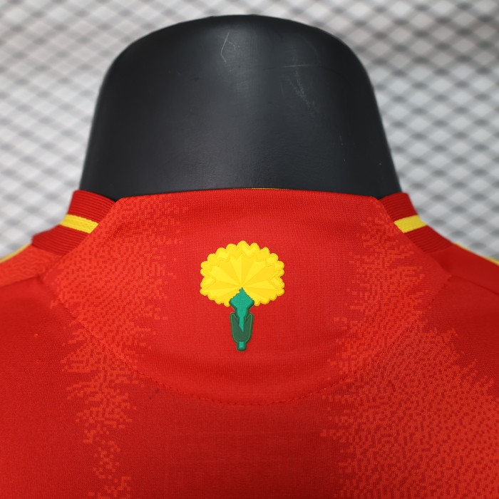 Player Version Spain 2024 Home Soccer Jersey España Camisetas de Futbol