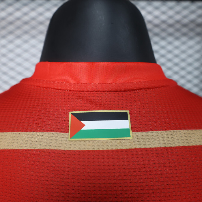 Player Version 2024 Palestine Special Edition White Soccer Jersey Football Shirt