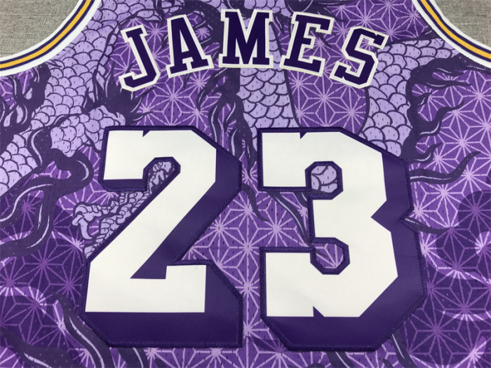 Mitchell&ness 2018-19 Los Angeles Lakers 23 JAMES Basketball Shirt Purple Dragon NBA Jersey