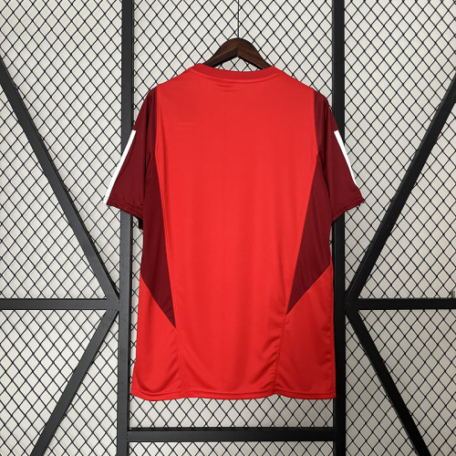 Fans Version 2024-2025 Sport Club Internacional Red Soccer Training Jersey