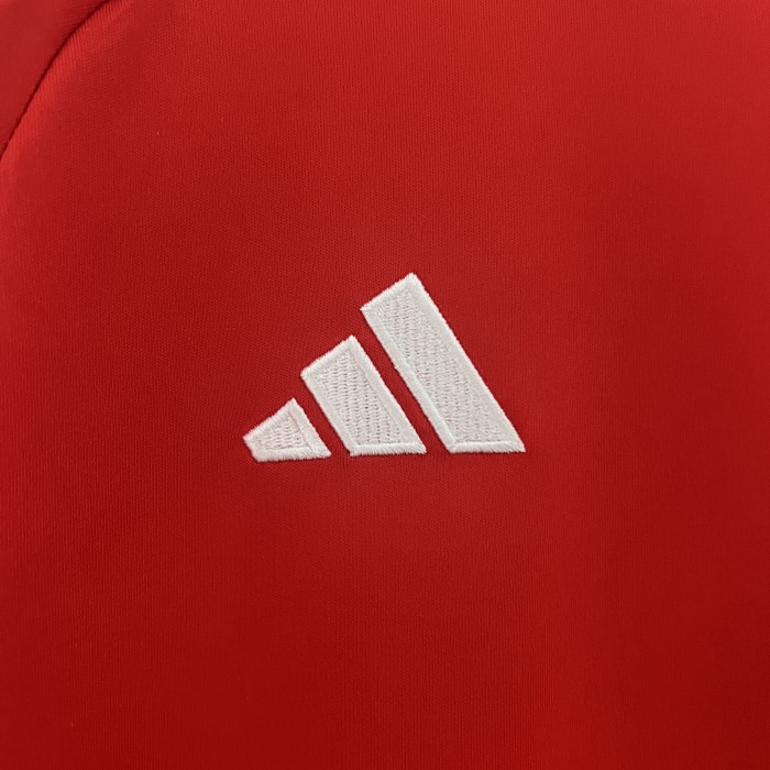 Fan Version Wales 2024 Home Soccer Jersey Football Shirt
