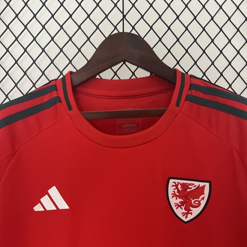 Fan Version Wales 2024 Home Soccer Jersey Football Shirt