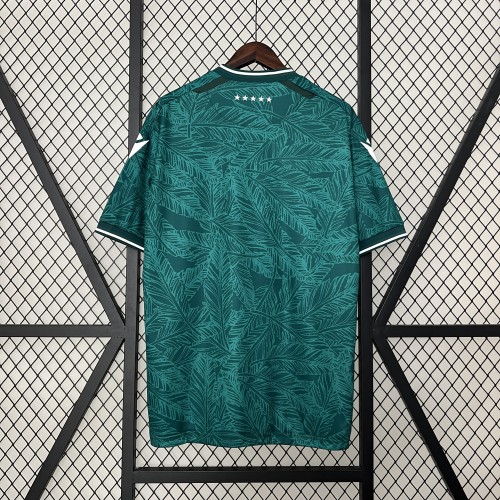 Fan Version 2024-2025 Santiago Wanderers Home Soccer Jersey