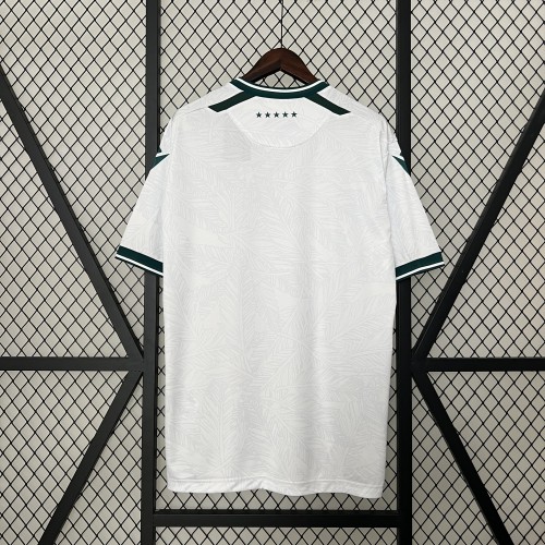 Fan Version 2024-2025 Santiago Wanderers Away White Soccer Jersey