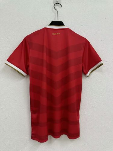 Fans Version 2024 Panama Home Soccer Jersey Football Shirt