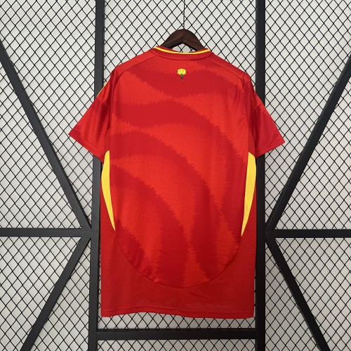 Fan Version Spain 2024 Home Soccer Jersey España Camisetas de Futbol
