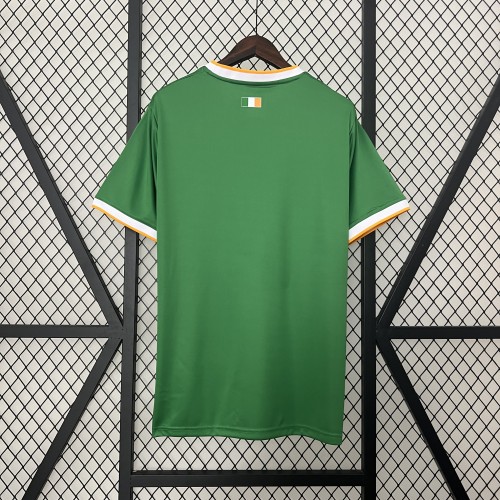 Fan Version 2024 celtic AD Origins Celebration Soccer Jersey Football Shirt