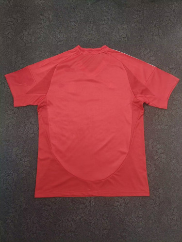 without Sponor Logo Fan Version 2024-2025 Benfica Home Soccer Jersey Football Shirt