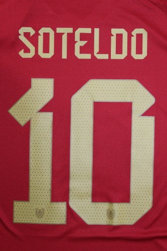 Fan Version 2024 Venezuela SOTELDO 10 Home Soccer Jersey Football Shirt
