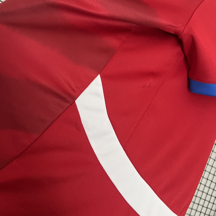 Fan Version Serbia 2024 Home Soccer Jersey Football Shirt