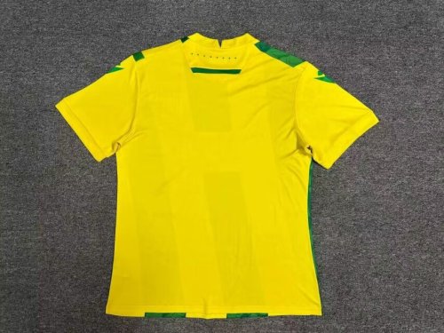 Fans Version 2024-2025 Nantes Home Soccer Jersey Football Shirt