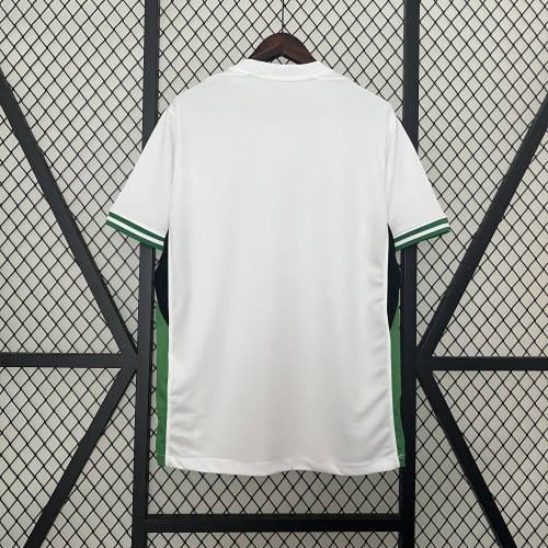 Fan Version 2024 Nigeria Away White Soccer Jersey Football Shirt