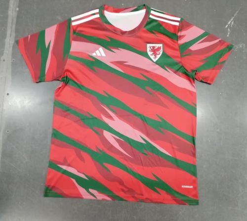 Fan Version Wales 2024 Red/Green Soccer Training Jersey Football Pre-match Shirt