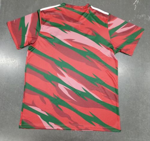Fan Version Wales 2024 Red/Green Soccer Training Jersey Football Pre-match Shirt