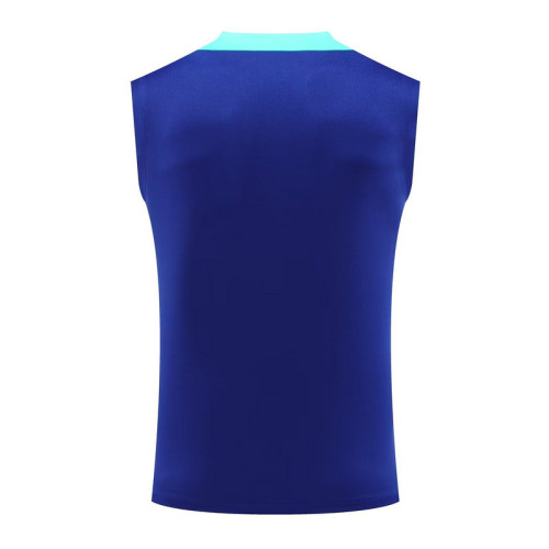 Fan Version 2024 Brazil Blue Soccer Vest