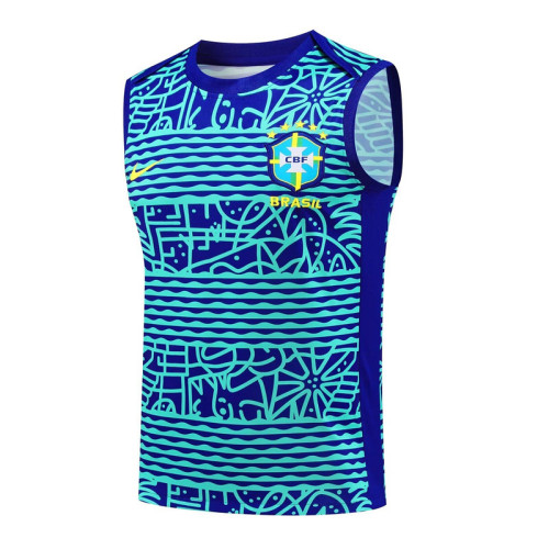 Fan Version 2024 Brazil Blue/Green Soccer Vest
