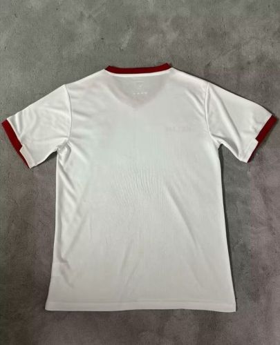 Fan Version 2024 Palestine White/Grey Soccer Jersey FC Palestina Football Shirt