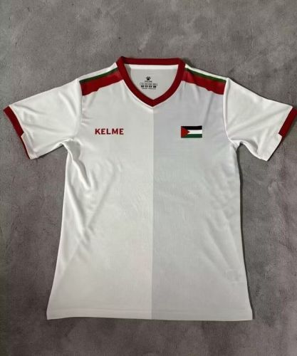 Fan Version 2024 Palestine White/Grey Soccer Jersey FC Palestina Football Shirt