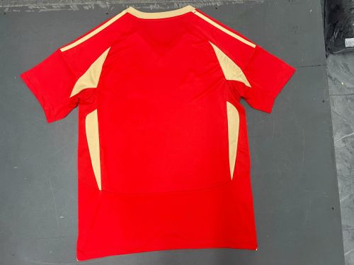 Fans Version 2024-2025 Standard Liège Home Soccer Jersey