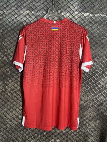 Fan Version Armenia 2024 Red Soccer Jersey Football Shirt
