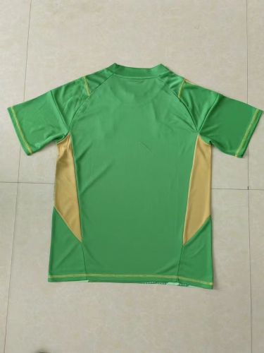 Fan Version Argentina 2024 Green Goalkeeper Soccer Jersey Football Shirt