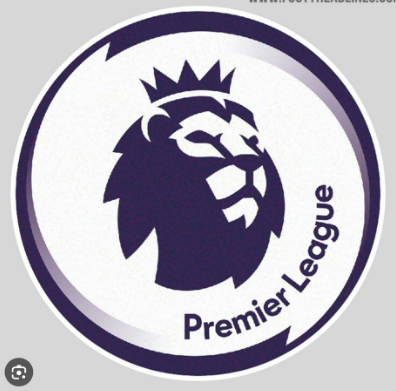 New Premier League 2019-2020 Sleeve Badges EPL Patch