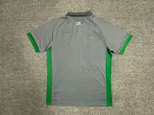 Fans Version 2024-2025 Cardiff City Away Grey Soccer Jersey Football Shirt